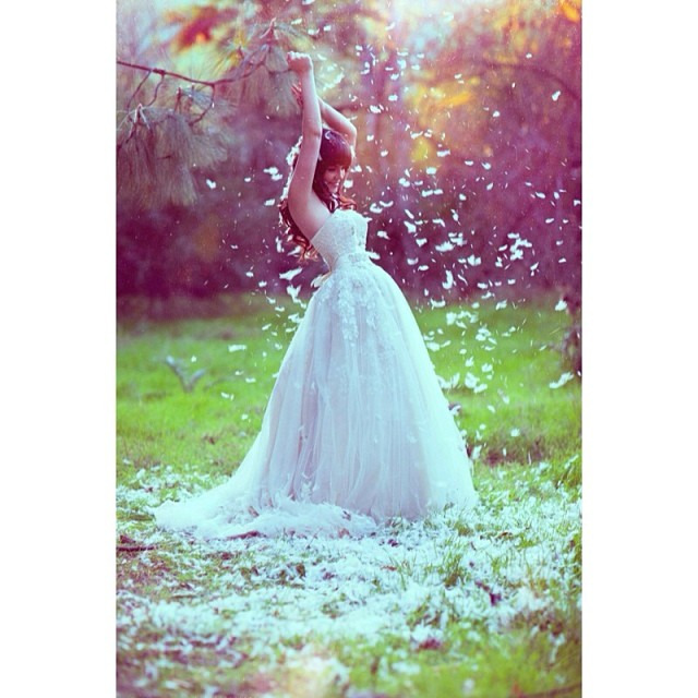 Feathers @kitty_roberts_